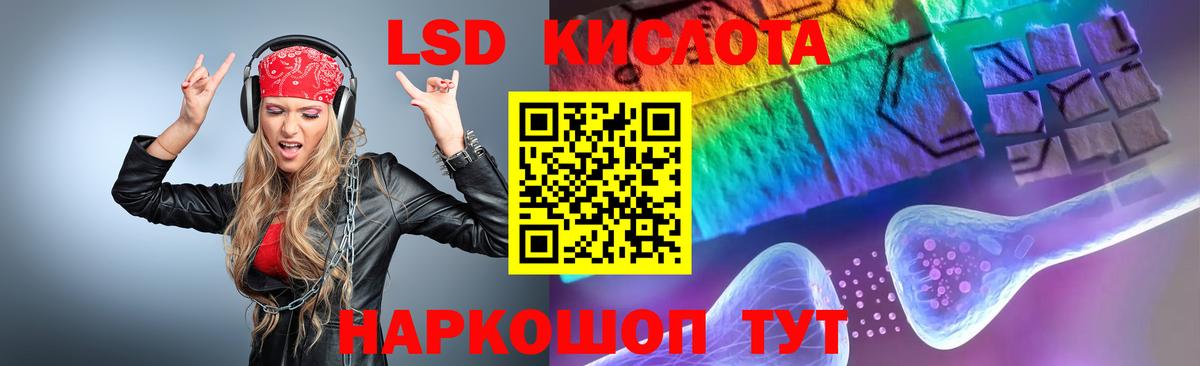 Галлюциногенные грибы Кинешма