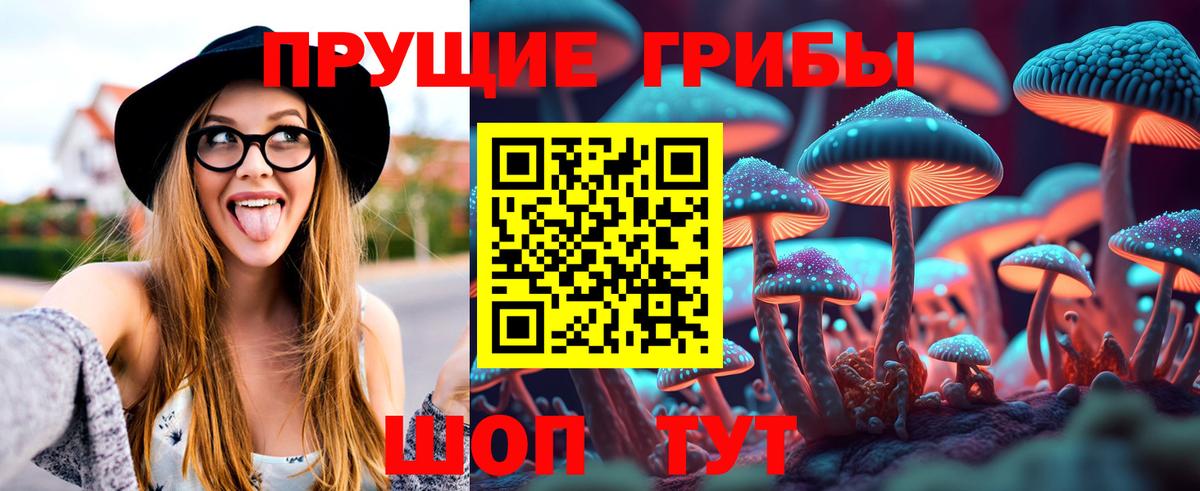 Псилоцибиновые грибы MAGIC MUSHROOMS  Вход с VPN  Кинешма 
