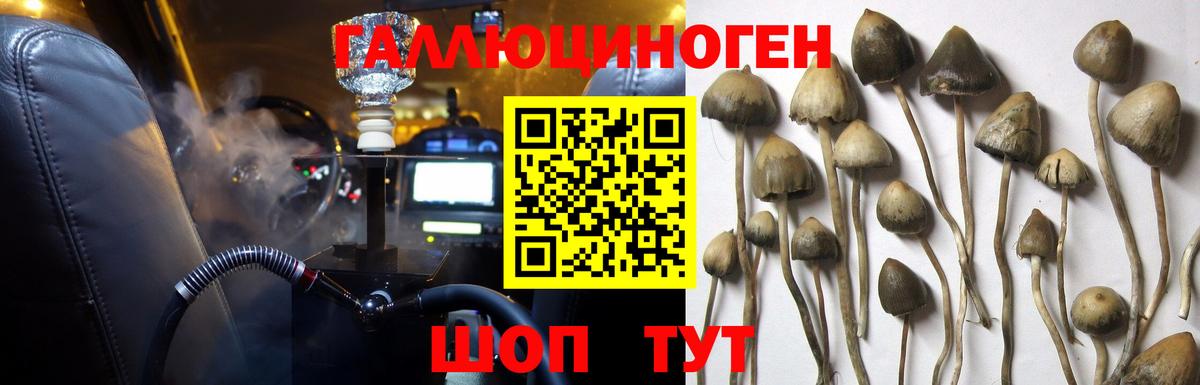 Псилоцибиновые грибы Cubensis Кинешма